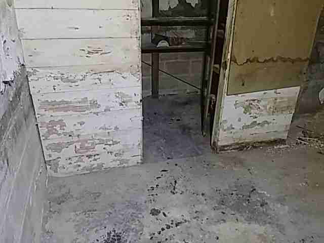 Testing again(61).jpg